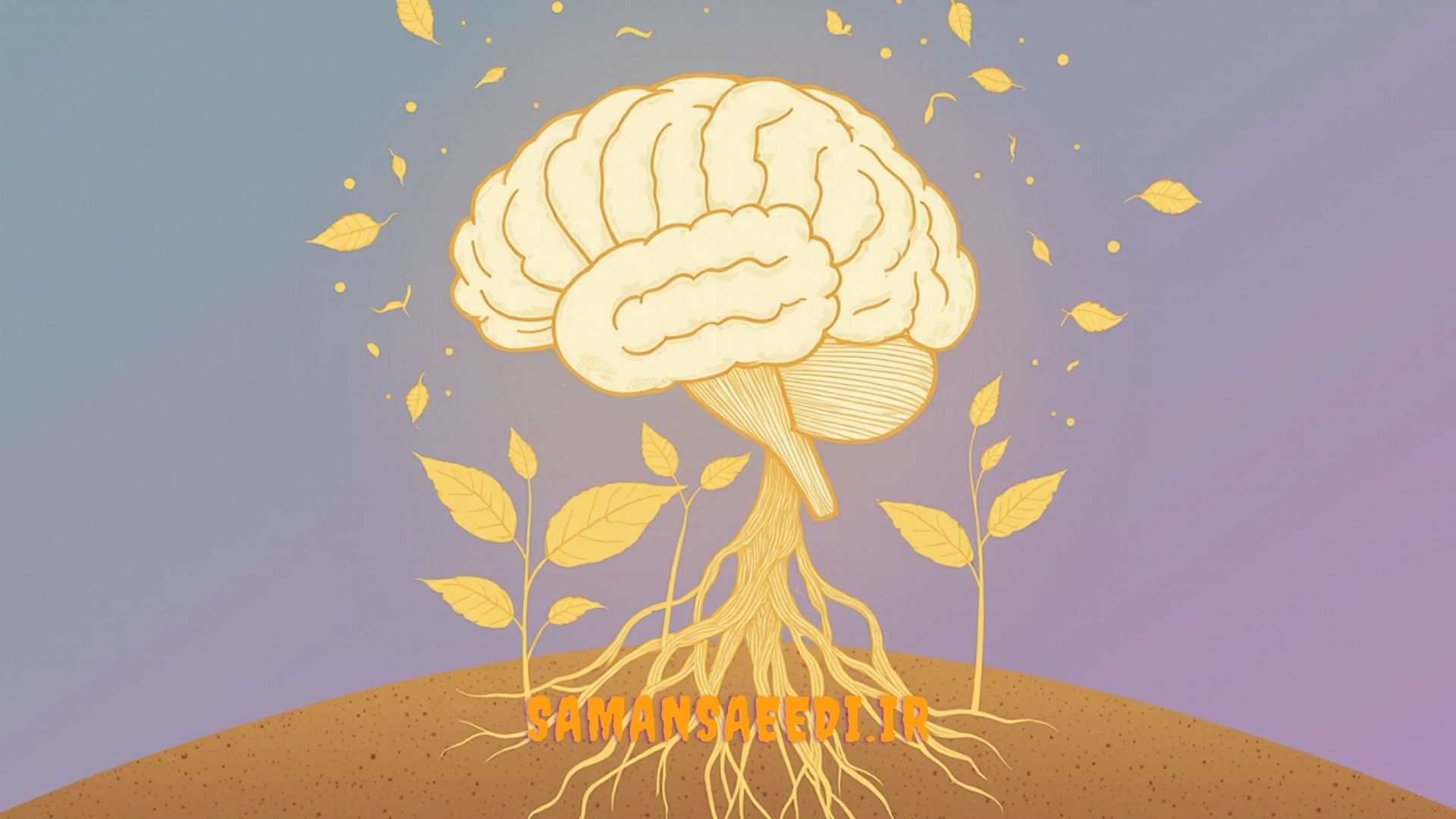 تکنیکهای یادگیری عمیق فراتر از حفظ کردن